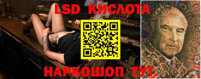 прущие грибы Краснознаменск
