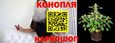 прущие грибы Краснознаменск