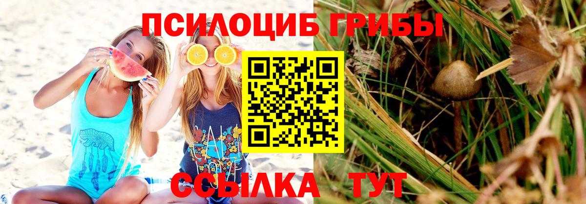 Шали  Псилоцибиновые грибы мицелий  где продают наркотики  Вход с VPN 